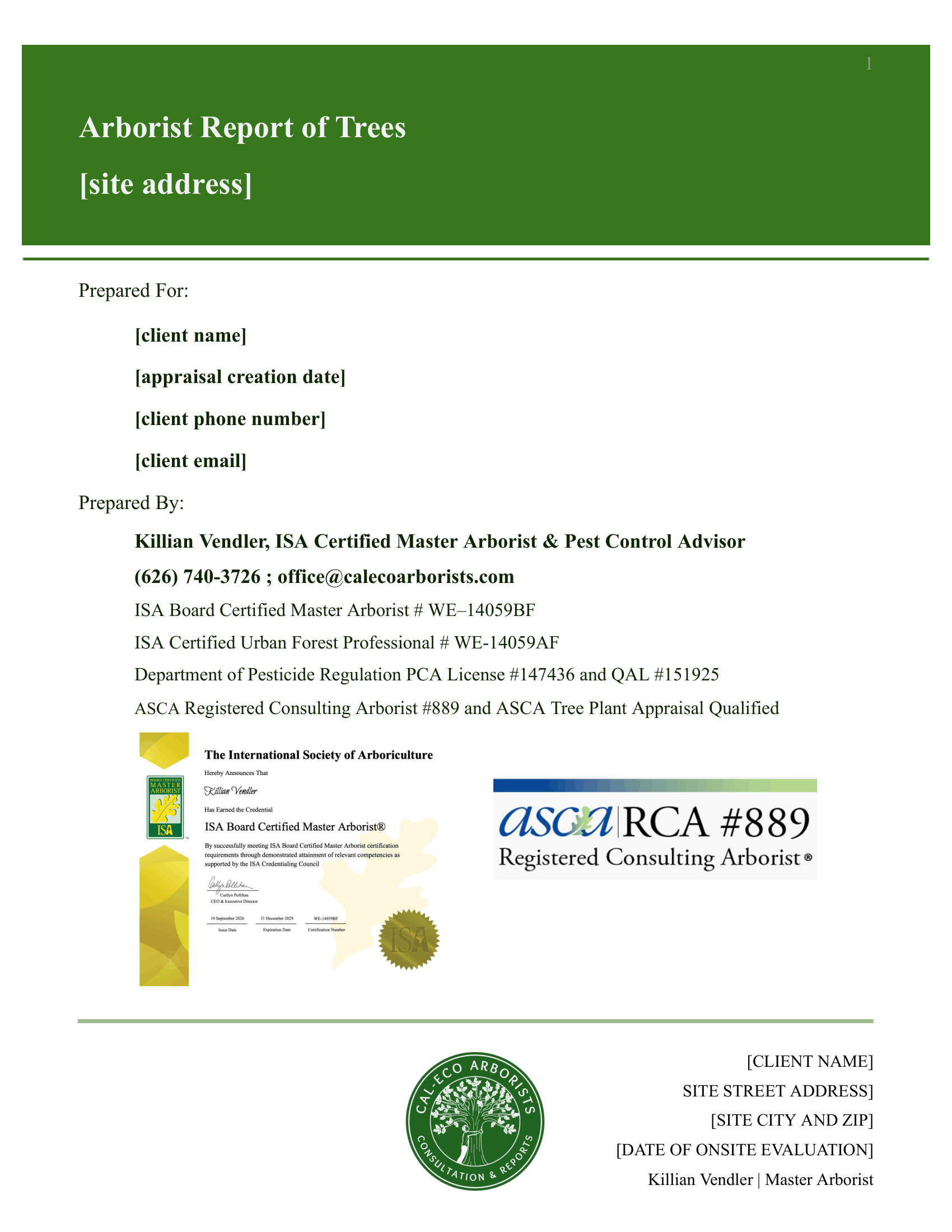 Copy of Construction Report Template