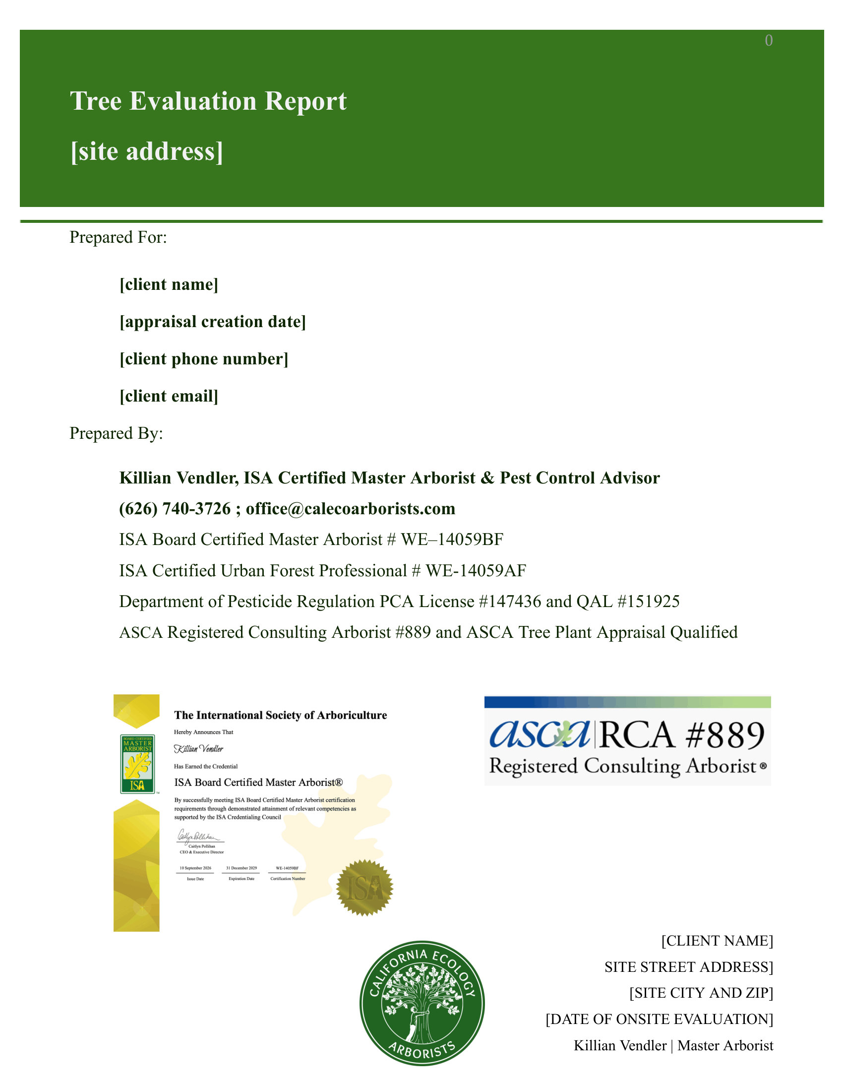 Copy of Simple Report Template